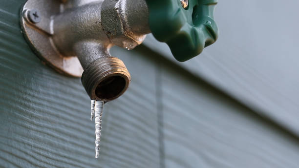 Best Drain Cleaning Services  in Hornell, NY